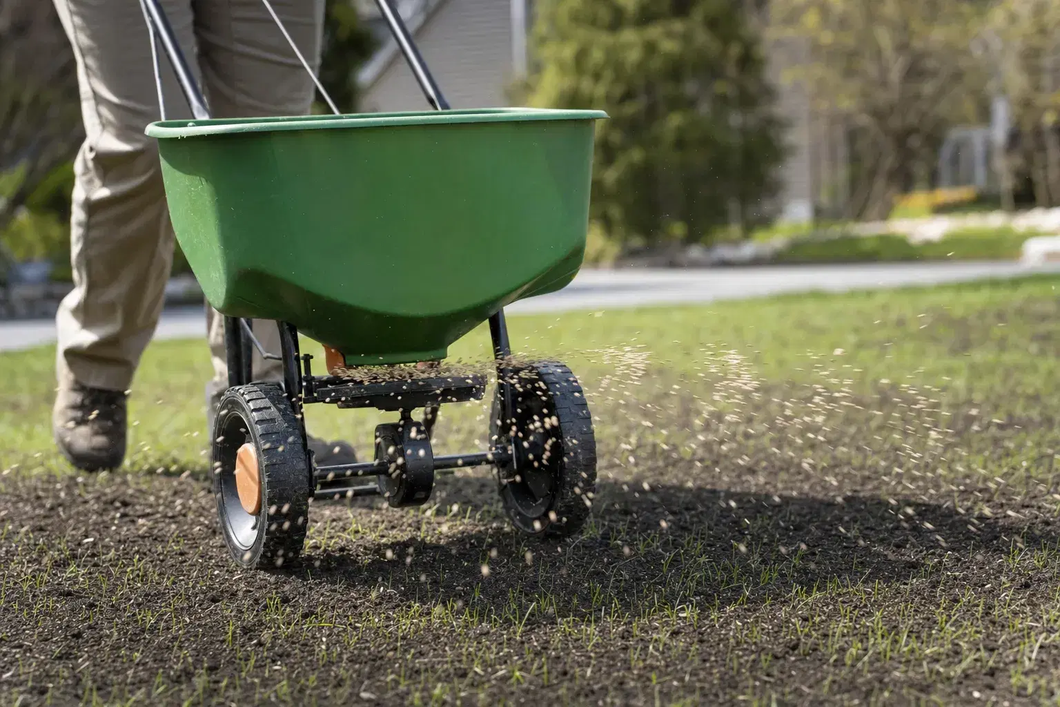 When & How to Seed Your Lawn in Spring for Best Results