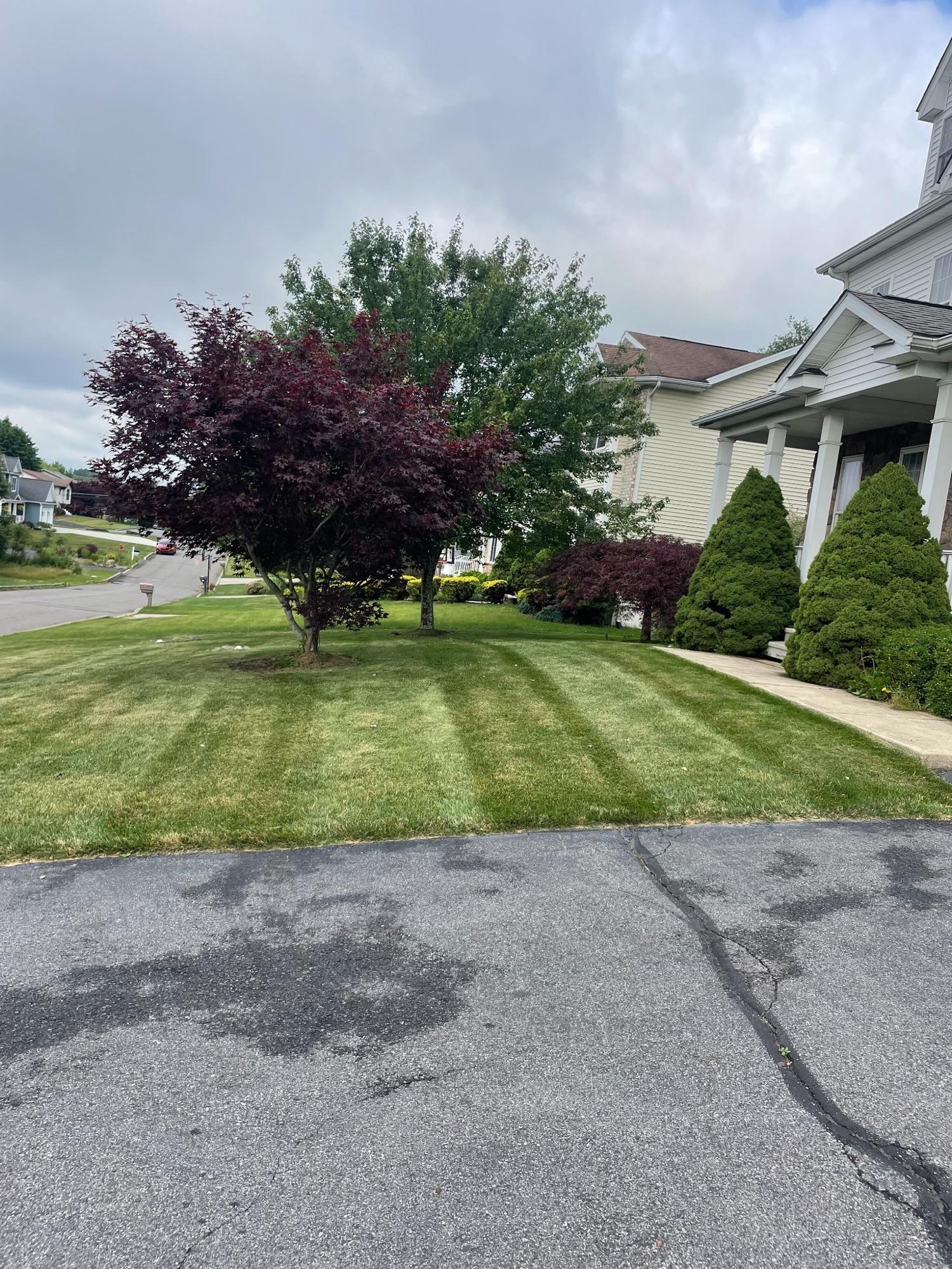 Freshly mowed and striped front yard
