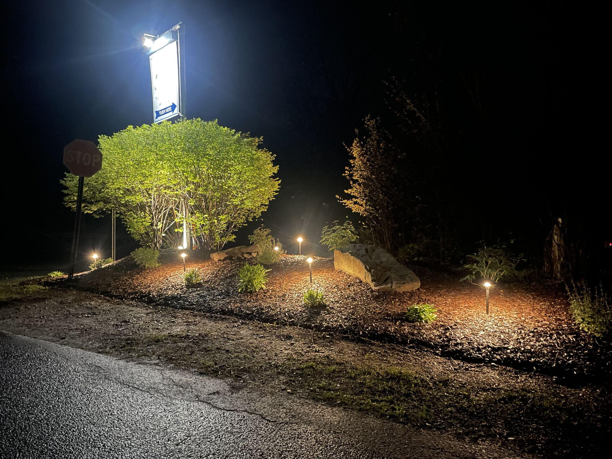 Landscape lighting on a mulched bed at night