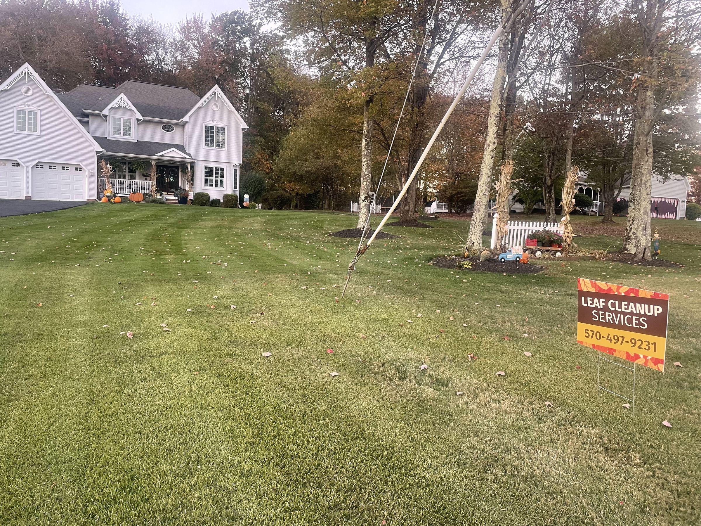Leaf cleanup on a large front lawn in fall