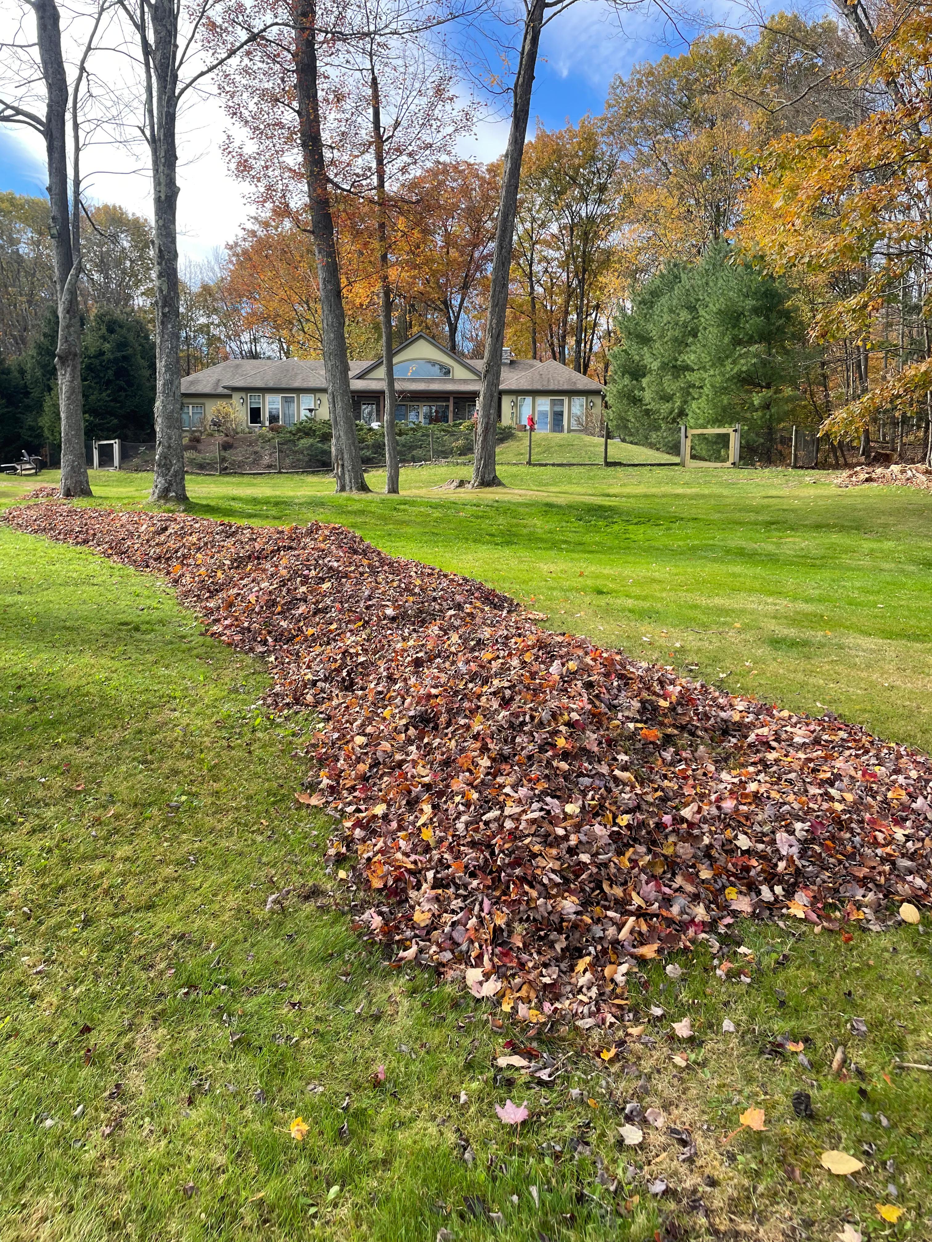 Spring Cleanup: Your Complete Guide to Getting Your Lawn Ready