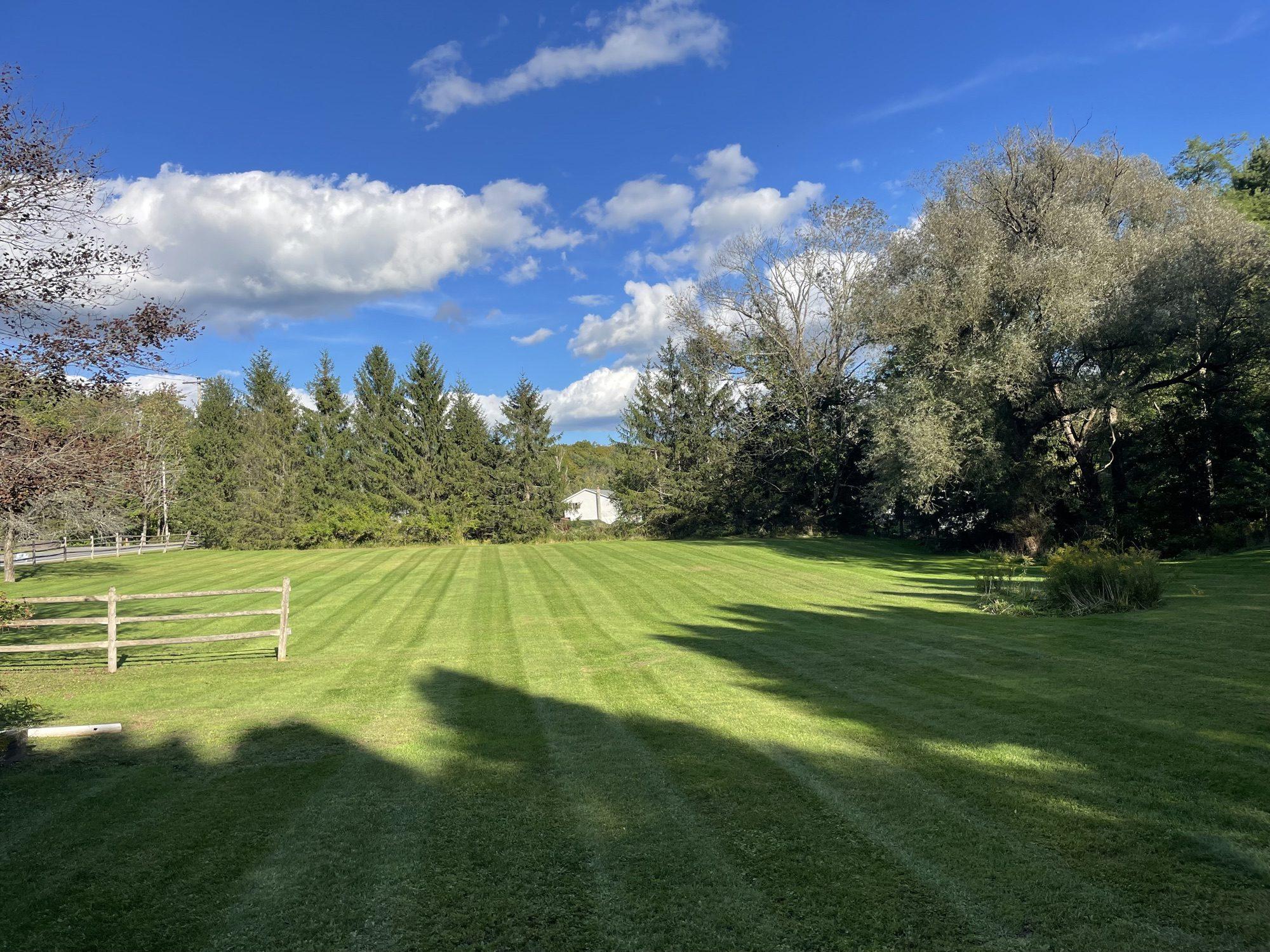 Mowing & Lawn Care