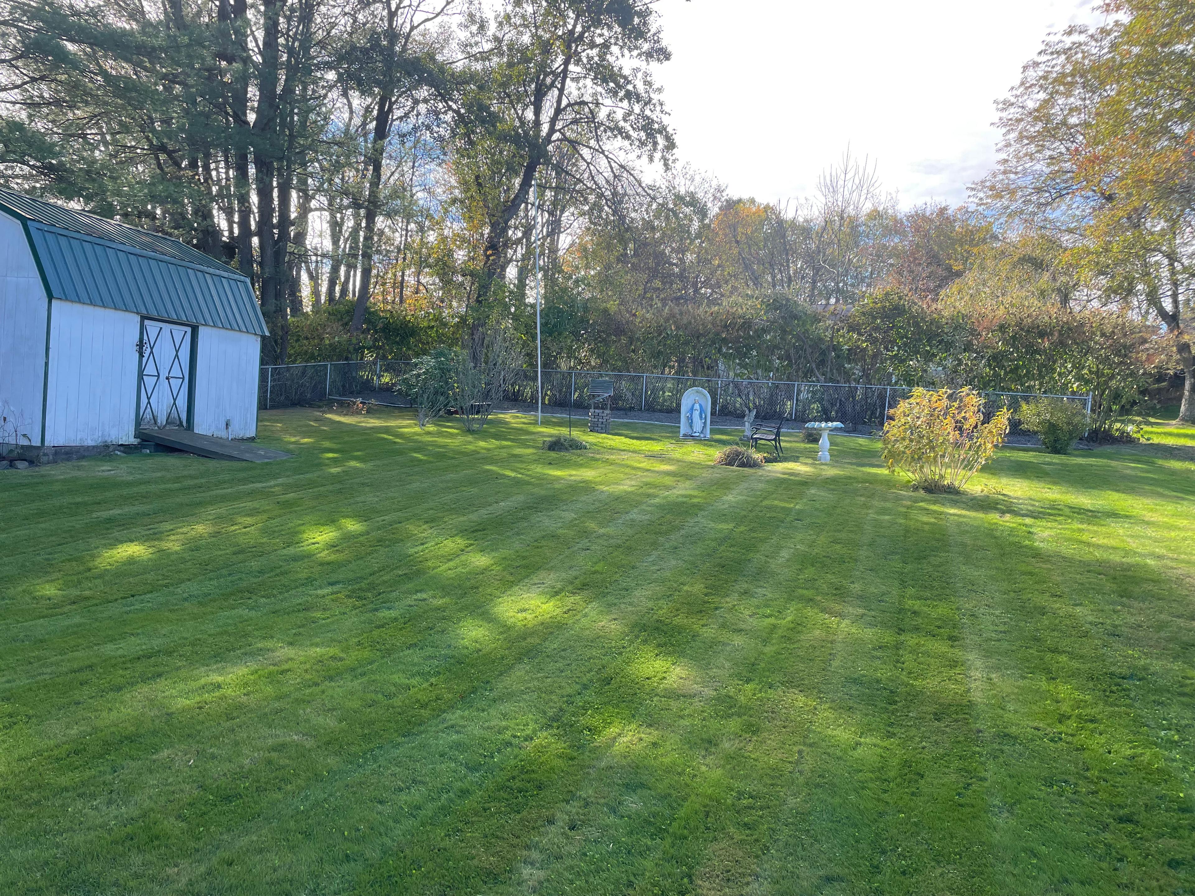 When & How to Seed Your Lawn in Spring for Best Results