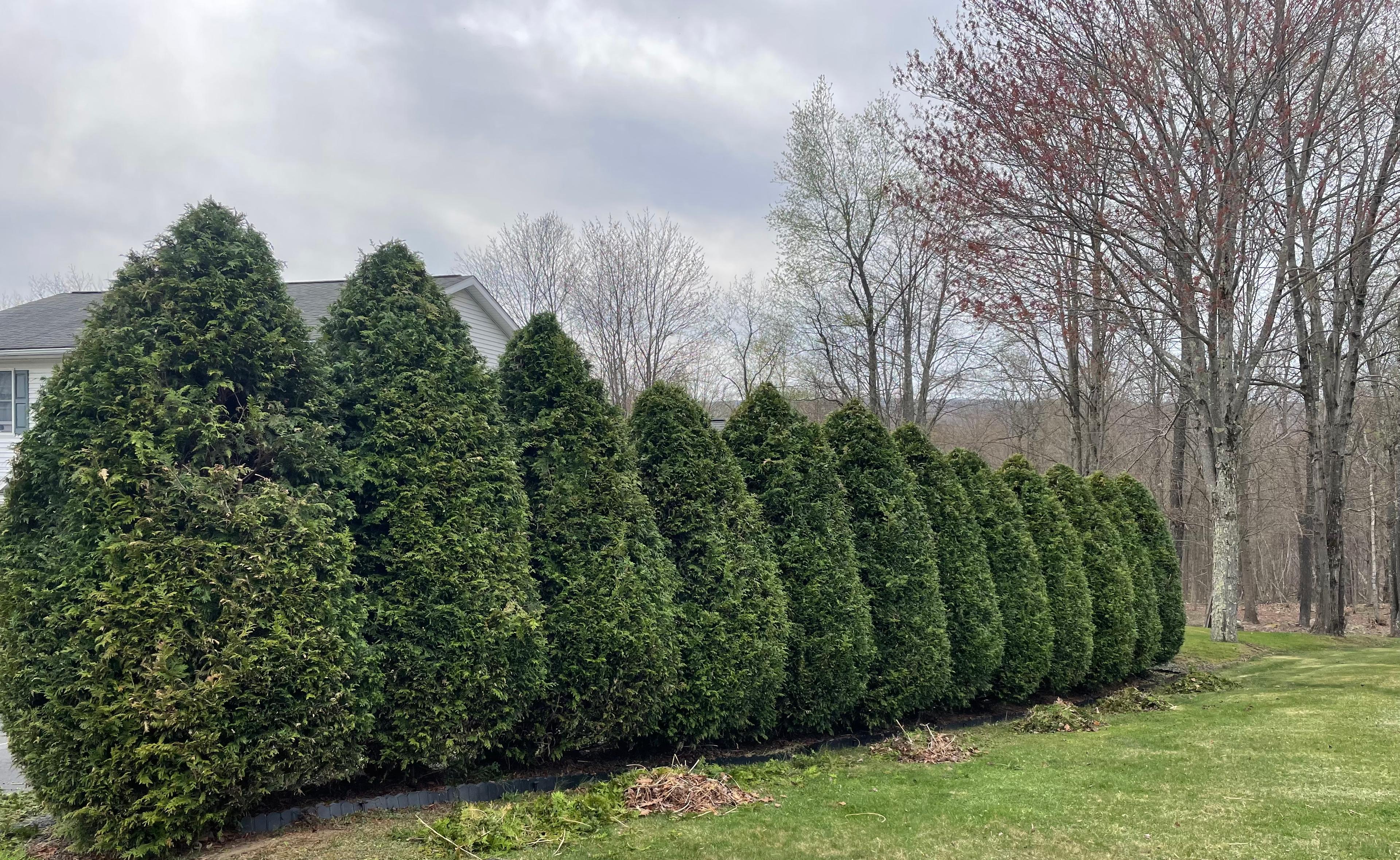 Complete fall cleanup