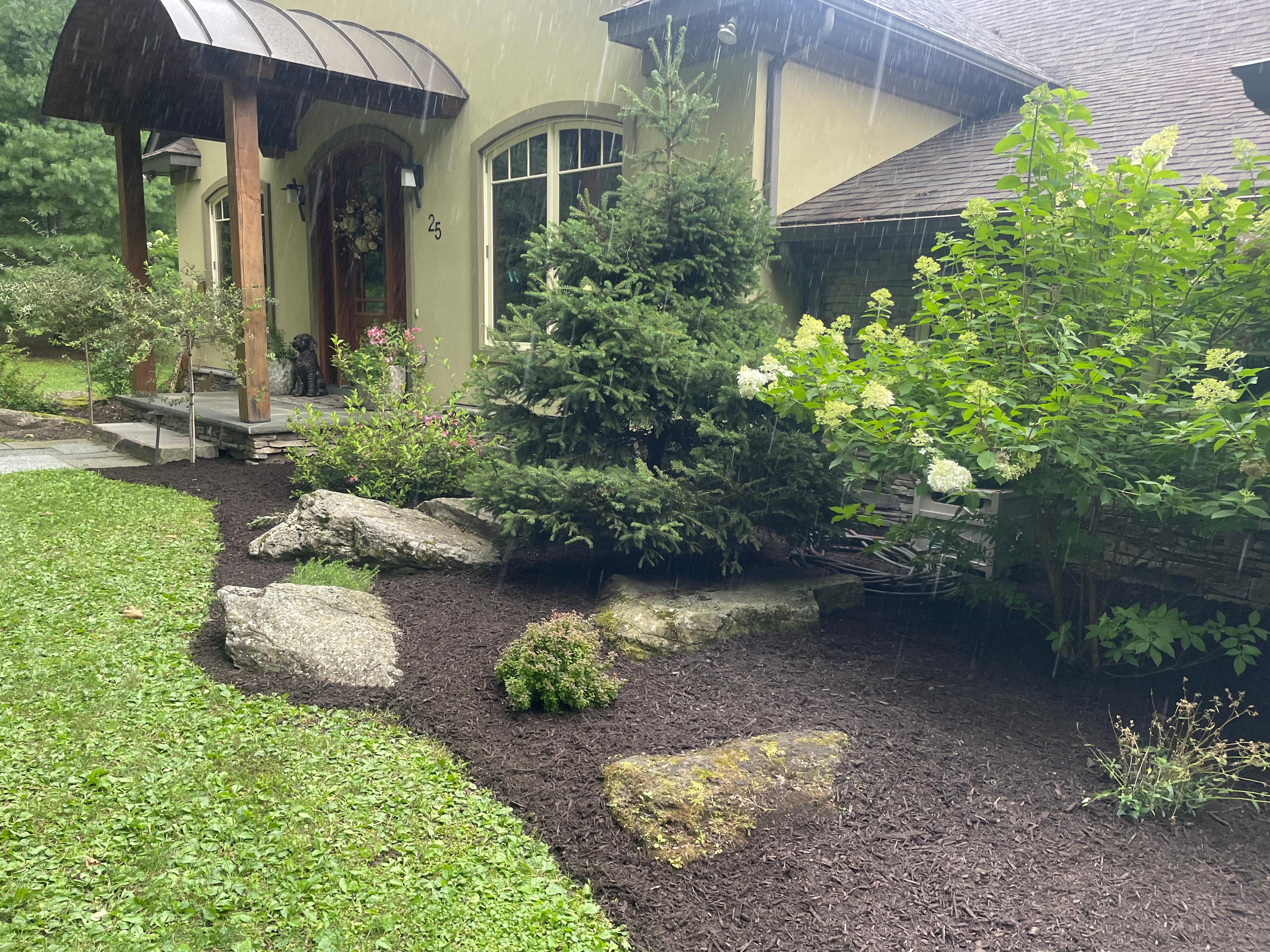 Expert summer mowing